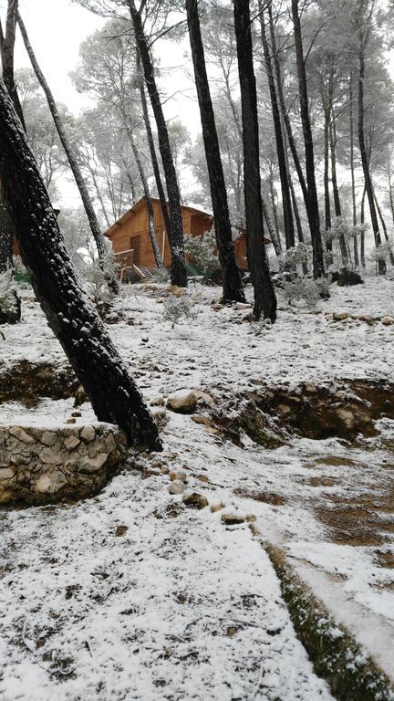 Cabanas El Robledo El Robledo  エクステリア 写真